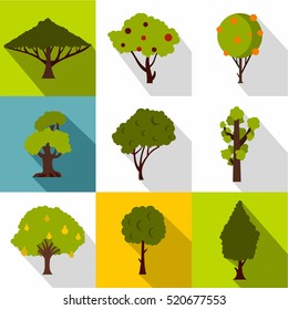 Types of trees icons set. Flat illustration of 9 types of trees vector icons for web