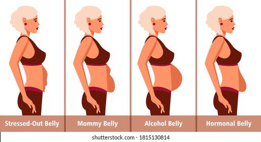 Types Of Tummies For Women. Post-pregnancy, Menopausal Hormonal Belly, Beer Belly, Bloating Belly And Overweight.