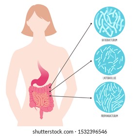 Types Of Useful Beneficial Probiotics. Vector Illustration.