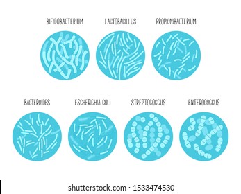 Types of useful probiotics in a circle. Vector illustration.