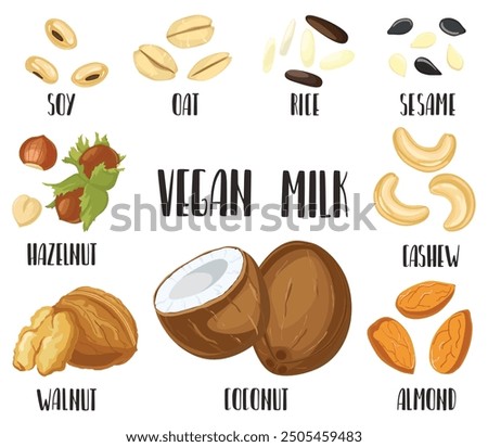 Types of vegan milk - detailed vector illustartion. Seeds and grains for alternative milk for vegan diet