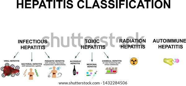 Types Viral Hepatitis Classification Hepatitis B Stock Vector (Royalty ...