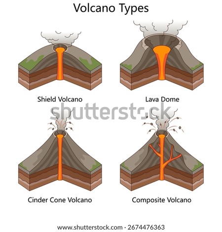 types of volcanoes shield volcano, lava dome, cinder cone, and composite volcano, with magma flow structures diagram hand drawn schematic vector. Science educational illustration