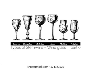 Types of wine glass. Sauternes, sherry, hock, alsace, madeiera and port glasses. illustration of stemwares in vintage engraved style. isolated on white background.