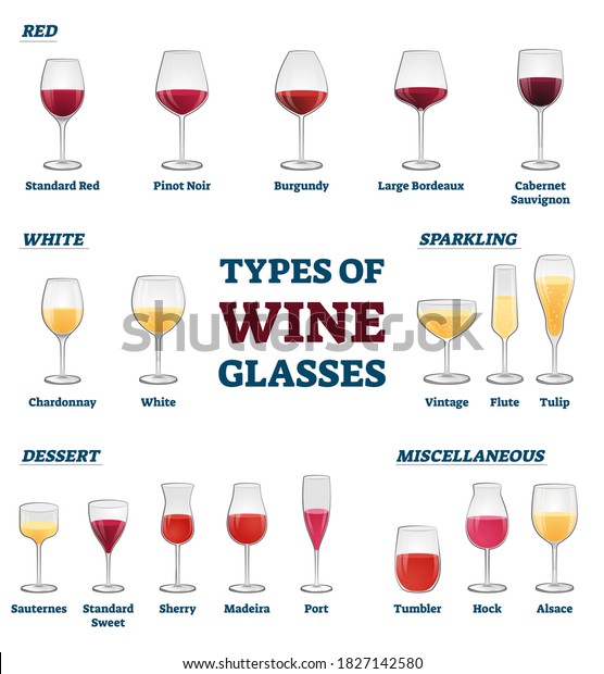 Types Wine Glasses Banner Educational Labeled Stock Vector (Royalty ...