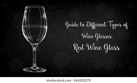 Types of wine glasses vector illustration sketch style: Red wine