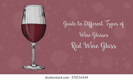 Types of wine glasses vector illustration sketch style: Red wine