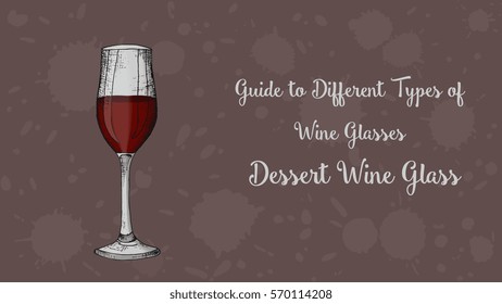 Types of wine glasses vector illustration sketch style: Dessert wine