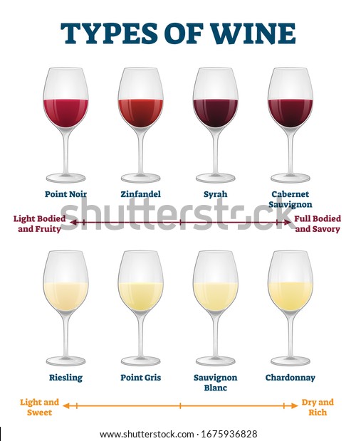 Types Wine Vector Illustration Labeled Red Stock Vector (Royalty Free ...