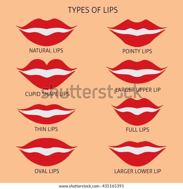 Types Woman Lips Flat Vector Illustration Stock Vector (royalty Free 