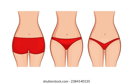 Types of woman panties front view vector isolated on white background.