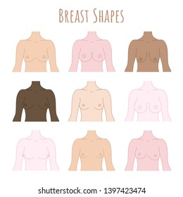 Types of women breast. Varieties of breast shapes. Female breast set vector hand drawn illustration.