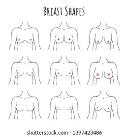 Types of women breast. Varieties of breast shapes. Female breast set vector hand drawn illustration.