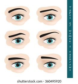 Types of womens eyebrows. Vector illustration. 