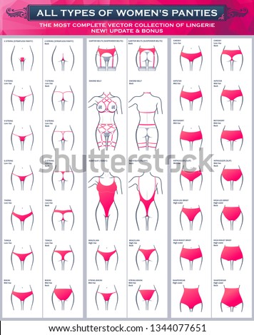 Types of womens panties. The most complete vector collection of lingerie. Sexy set of underwear, string thong, tanga bikini, brazilian cheeky, hipster boyshorts, high waist leg, shapewear brief