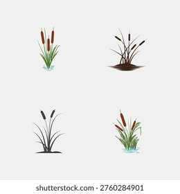 Typha cattail reed plant vector illustrations