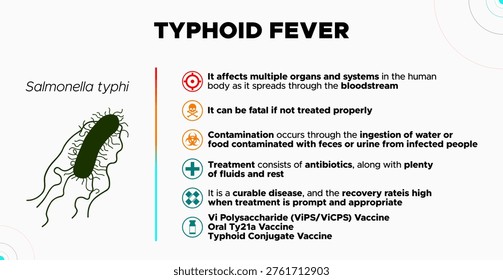 Typhoid Fever: vector illustration providing information about typhoid fever, a disease caused by the bacterium Salmonella typhi
