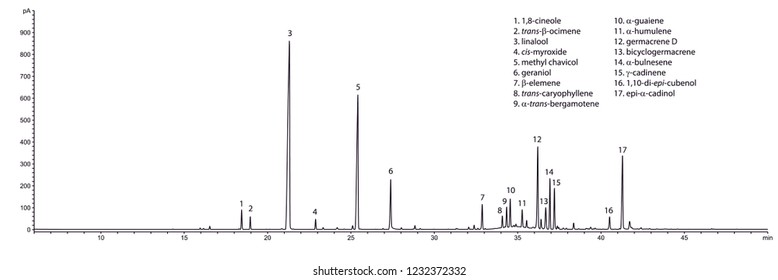 Typical GC chromatogram of basil's (Ocimum basilicum) essential oil.