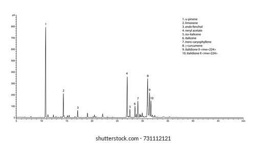 Typical GC chromatogram of curry plant's (Helichrysum italicum) essential oil.
