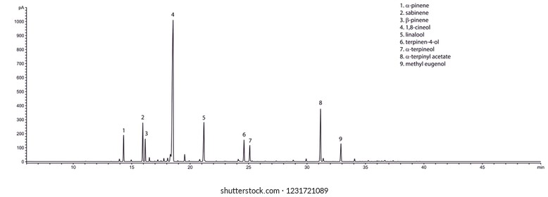 Typical GC chromatogram of laurel's (Laurus nobilis) essential oil.
