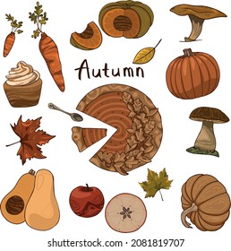 Typical items of a pleasant autumn. Pumpkin pie, cupcake, carrots, pumpkin, mushrooms and apples