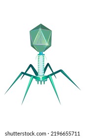 Typical Myovirus Bacteriophage Model Dna Virology Stock Vector (Royalty ...