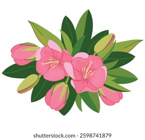 Typical plant of Mauritiustrochetia boutoniana on white background. Vector branch with pink exotic flowers in flat style. National symbol of the island near Africa.