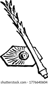 A typical representation of Archaeocidaris Urif Flem (spine and intermediate plate); Carboniferous, Ireland, looks like a hexagon that is patterned, vintage line drawing or engraving illustration.