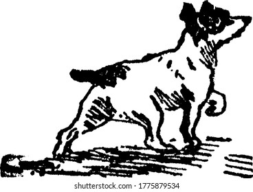 A typical representation of a dog running across the streets and staring at something. Dogs are loyal and are considered to be man's best friend, vintage line drawing or engraving illustration.