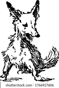 A typical representation of the dog in a sitting position, with its mouth opened. Dogs are loyal and are considered to be man's best friend, vintage line drawing or engraving illustration