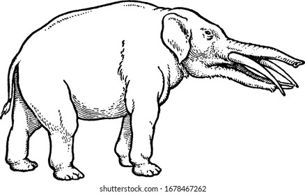 Eine typische Darstellung eines frühen Hornhirsches während der Zeit von Miocene, der ersten geologischen Epoche der Neogenzeit, einer Vintage-Linienzeichnung oder Gravierungsgrafik.