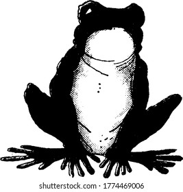 A typical representation of the frog that is short-bodied, tailless amphibians; composing the order Anura, the life cycle of a frog normally starts in water with an egg that hatches into a limbless