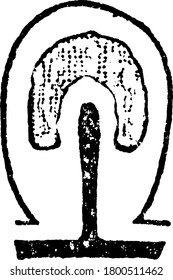 A typical representation of the gradual degeneration of the medusa bud into the form of a sporosae. The dark shaded areas represents the enteric cavity andthe lighter shaded areas the genital products