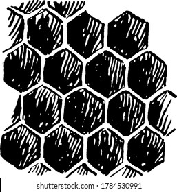 A typical representation of a honeycomb, a structure of hexagonal cells of wax, made by bees to store honey and eggs, vintage line drawing or engraving illustration.