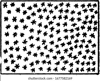 La representación típica de los estrechos árboles de hojas o pinos en un mapa topográfico, dibujo vintage o ilustración grabadora.
