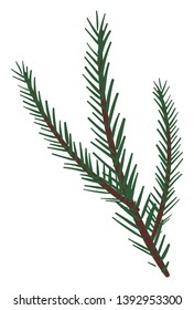 Representación típica de las agujas del árbol de abeto que crece a partir de pequeñas clavijas de madera del dibujo o ilustración del color vectorial de las ramas