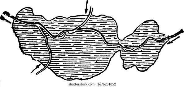 A typical representation of the plan of a lake entered by three streams (c, d, e), each of which deposits a cone of sediment (a, b) at its mouth, vintage line drawing or engraving illustration.