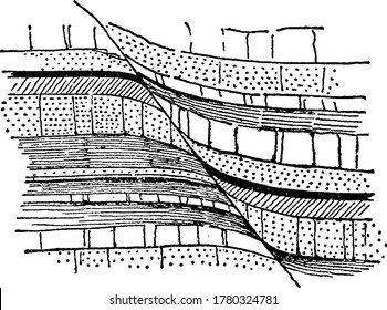 Una representación típica de una sección de estratos, doblada a una línea de falla, una representación de una grieta en la corteza de la tierra, dibujo vintage de línea o ilustración de grabado.