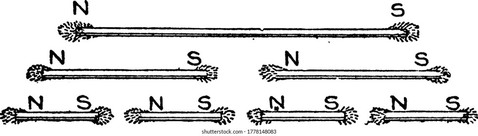 A typical representation to show that when a magnetized needle is broken into several parts, each part forms a complete magnet having a N and S pole, vintage line drawing or engraving illustration.