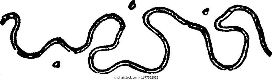 A typical representation of a small stream, a brook and the meandering course of it, a, b, and c, are loops, vintage line drawing or engraving illustration.