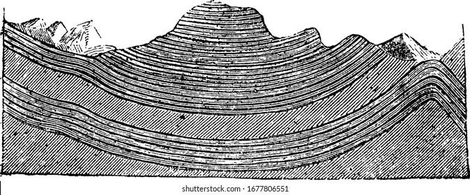 A typical representation of synclinal strata, a geological fold downwards, a layer of sedimentary rock or soil, vintage line drawing or engraving illustration.
