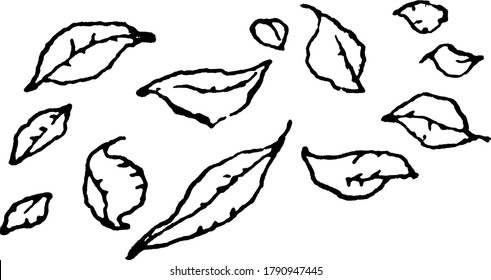 A typical representation of the winter season, showing few leaves lying on the ground, vintage line drawing or engraving illustration.