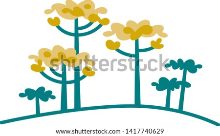 Typical trees from Parana, Brazil