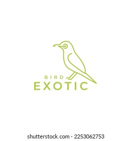 typical white eyes bird little sing on tree branch lines minimal logo design vector icon illustration template