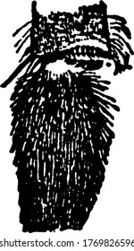 Representación típica de la pata trasera de Bombus, vista interior de la misma y primera unión del tarso, con rayas longitudinales y marcas de esmalte, dibujo de líneas vintage o ilustración de grabado.