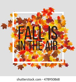 Typographic autumn season background with colorful maple leaves. Vector design for greeting card, poster, flyer.