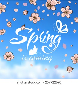Typographic Design. Lettering Spring design on blurred background with butterflies and cherry blossom or sakura.