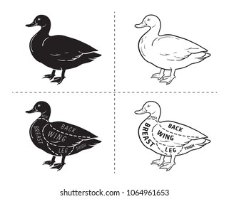 Typographic duck butcher cuts diagram scheme. Premium guide meat label