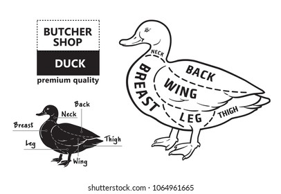 Typographic duck butcher cuts diagram scheme. Premium guide meat label