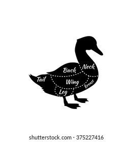Typographic duck butcher cuts diagram scheme. Premium guide meat label. Vector illustration